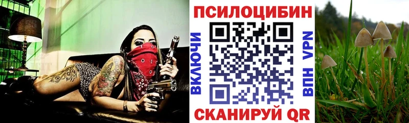 Псилоцибиновые грибы Psilocybine cubensis  Раменское 